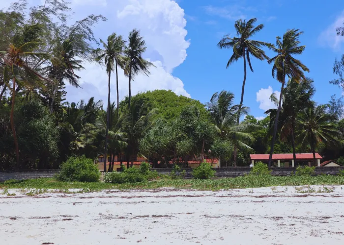 Mombasa Beach Retreat safari