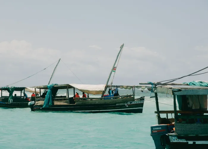 Traditional fishing boats in Mombasa harbor on a sunny day, showcasing local culture.