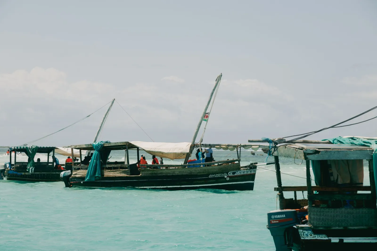 Safari &amp; Beach Gallery