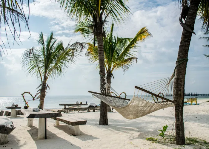 Serene beach scene with hammock, palm trees, and ocean view in Zanzibar, Tanzania.