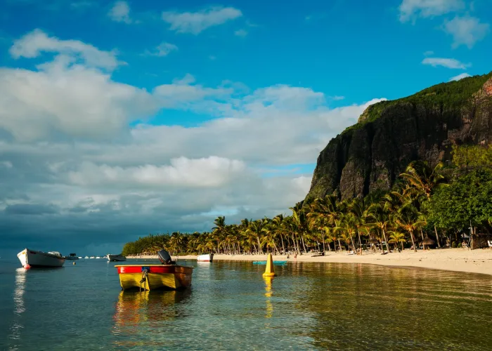 Serene beach scene with palm trees and boats at Le Morne, Mauritius during a sunny day.