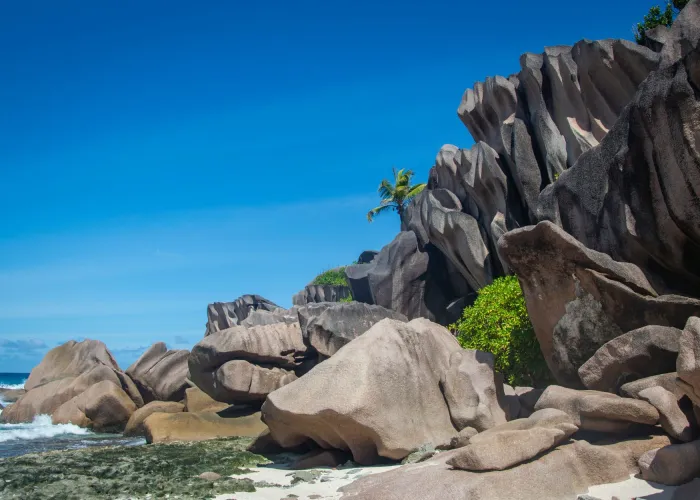 Seychelles Island Tour safari