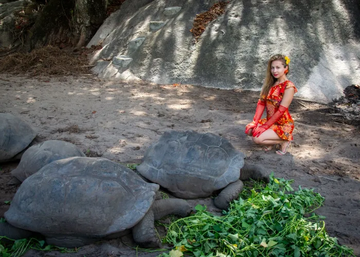 A woman in a red floral dress poses with giant tortoises amidst greenery outdoors.