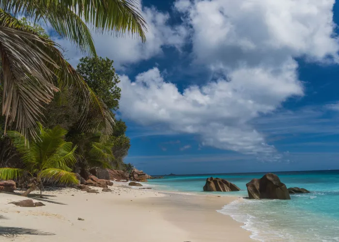 Tropical paradise beach with palm trees and granite rocks in Seychelles under a blue sky.