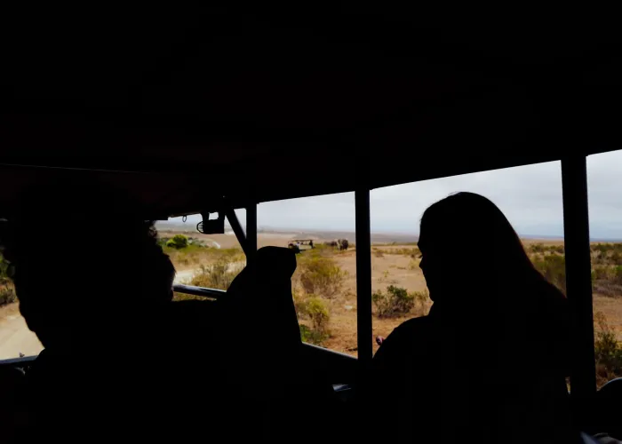 Silhouette of tourists on a safari viewing wildlife in an open vehicle.