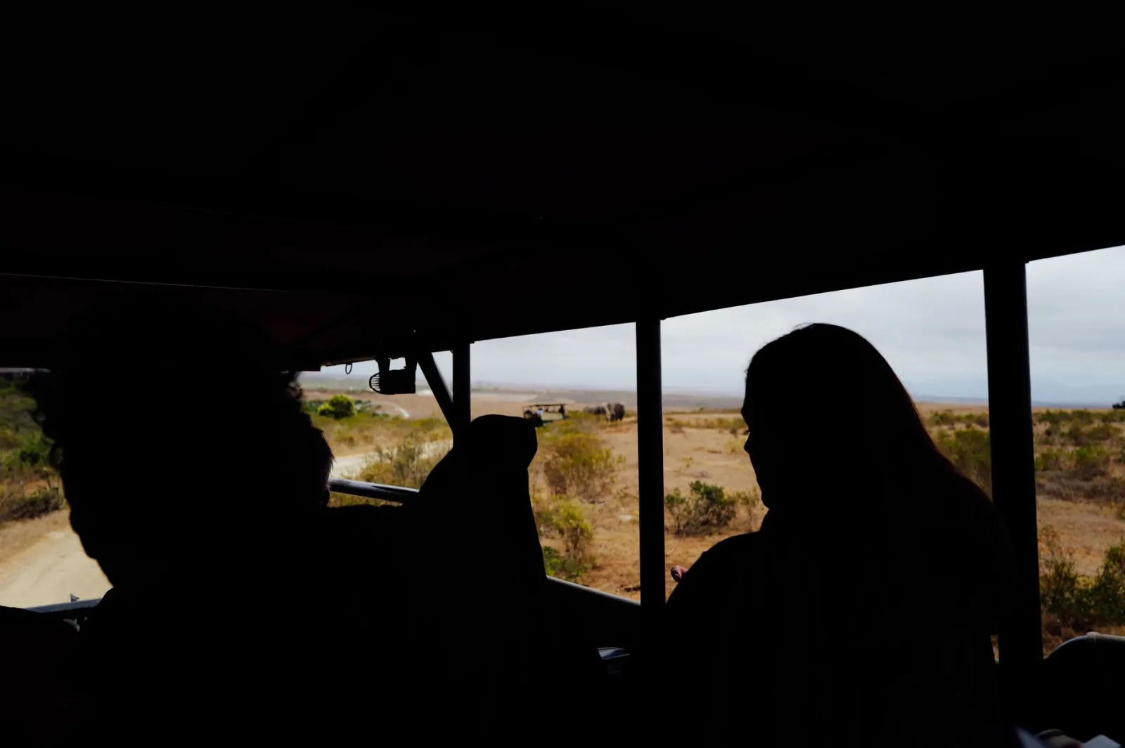 Safari &amp; Beach Gallery