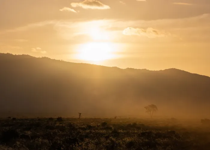 Dramatic sunset in Tsavo, Kenya showcasing silhouettes of trees and wildlife against dusty landscape.