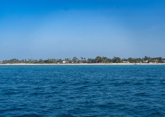 Discover the serene beauty of Zanzibar's coastline with pristine turquoise waters and lush palm trees.