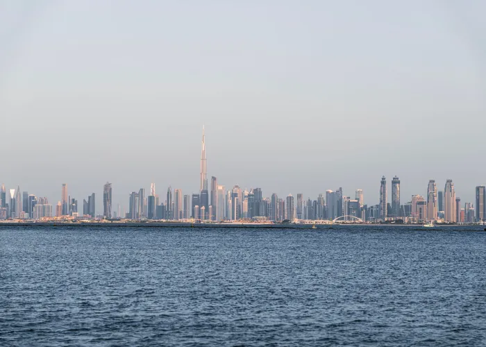 Dubai City & Desert Experience safari
