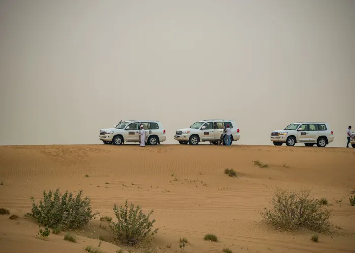White SUVs on a thrilling desert safari in Dubai's sandy landscape, United Arab Emirates.
