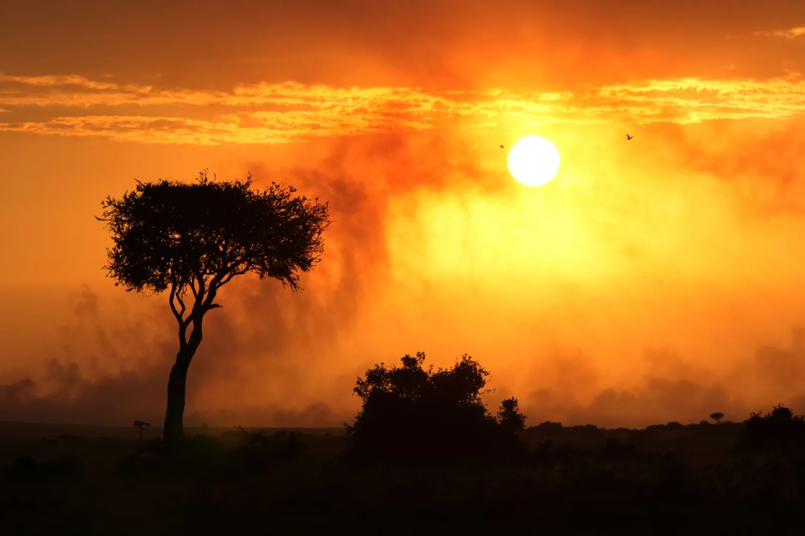 Kenya