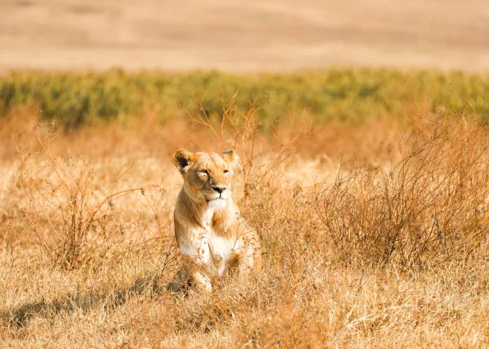 Tanzania