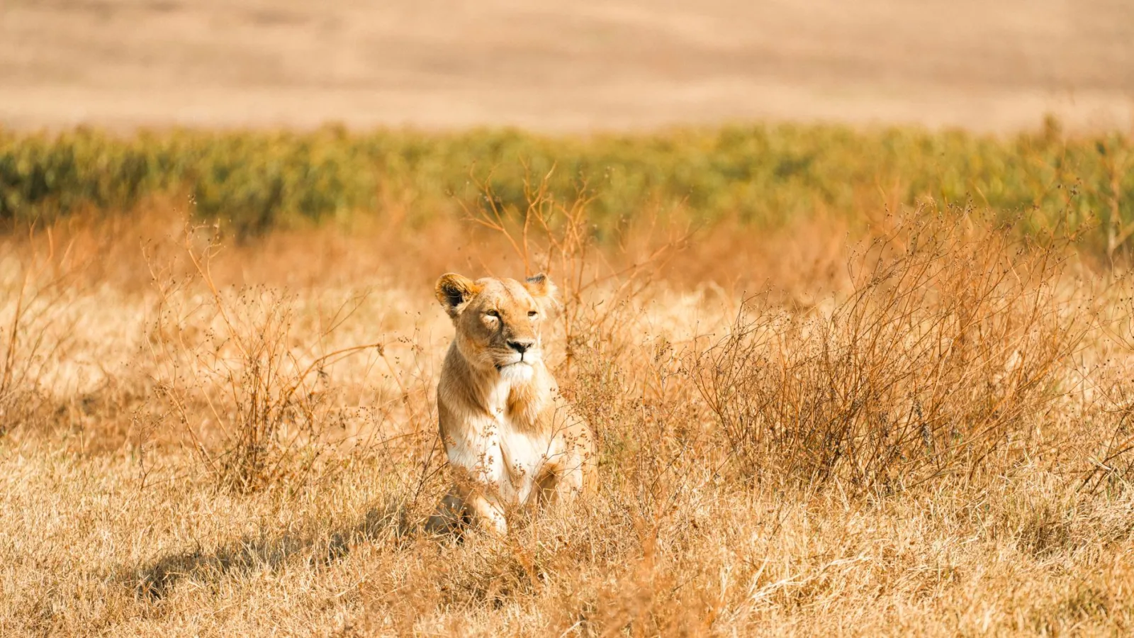 Tanzania