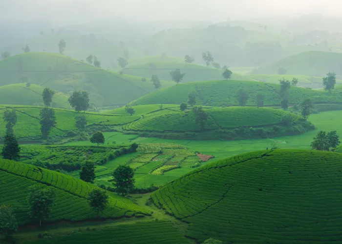 Rwanda