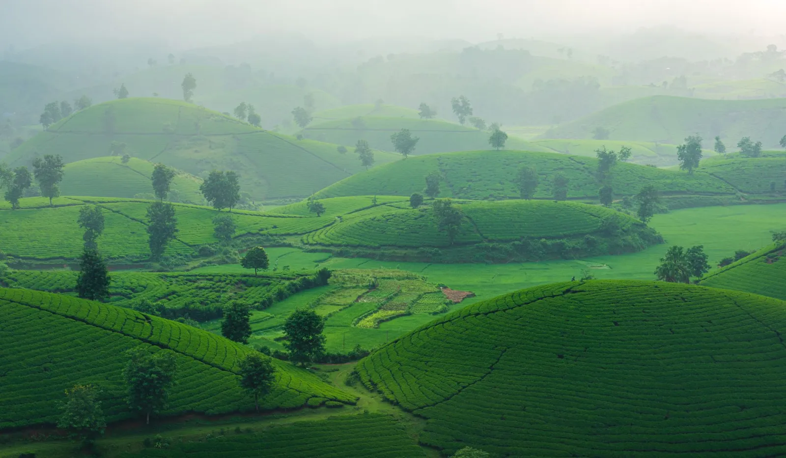 Rwanda